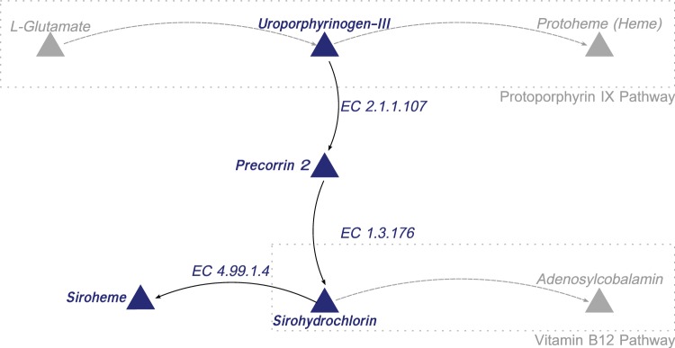 Fig. 4.—