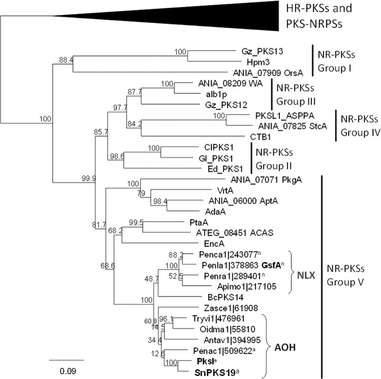 FIG 5