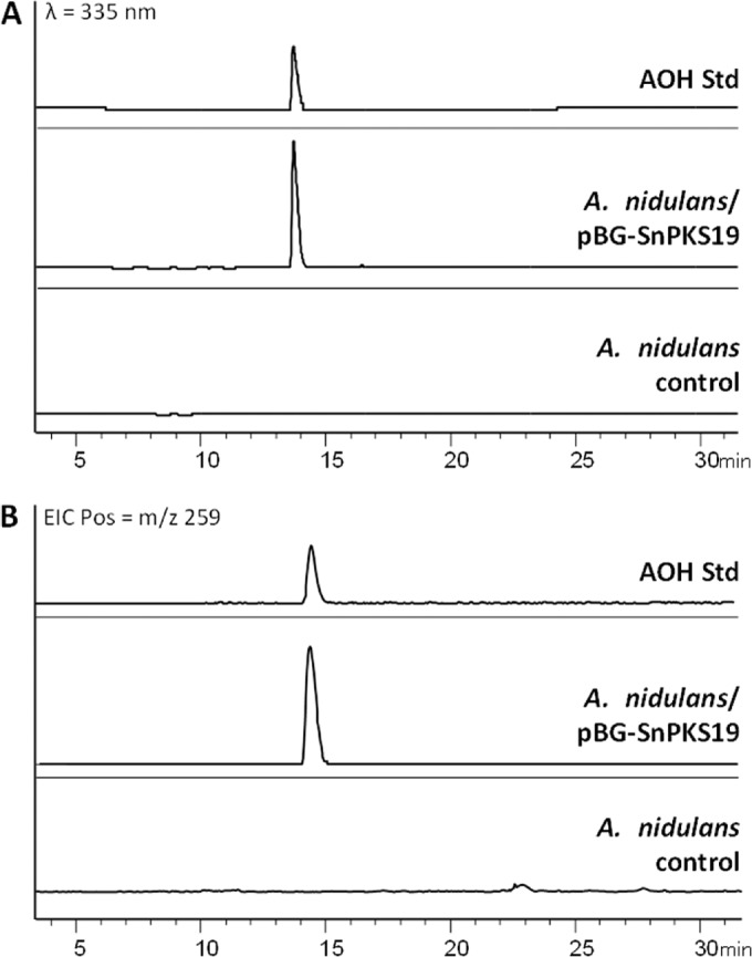 FIG 4