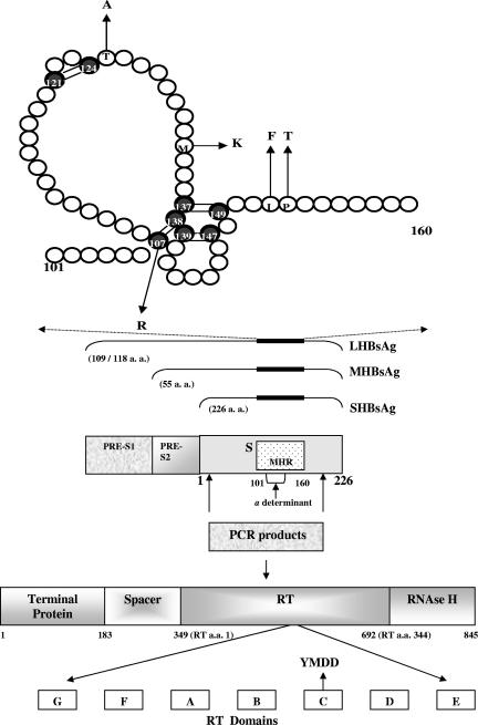 FIG. 1.