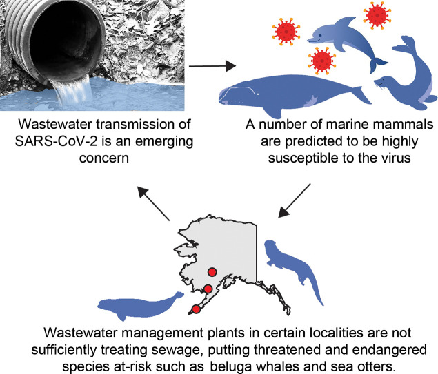 Unlabelled Image