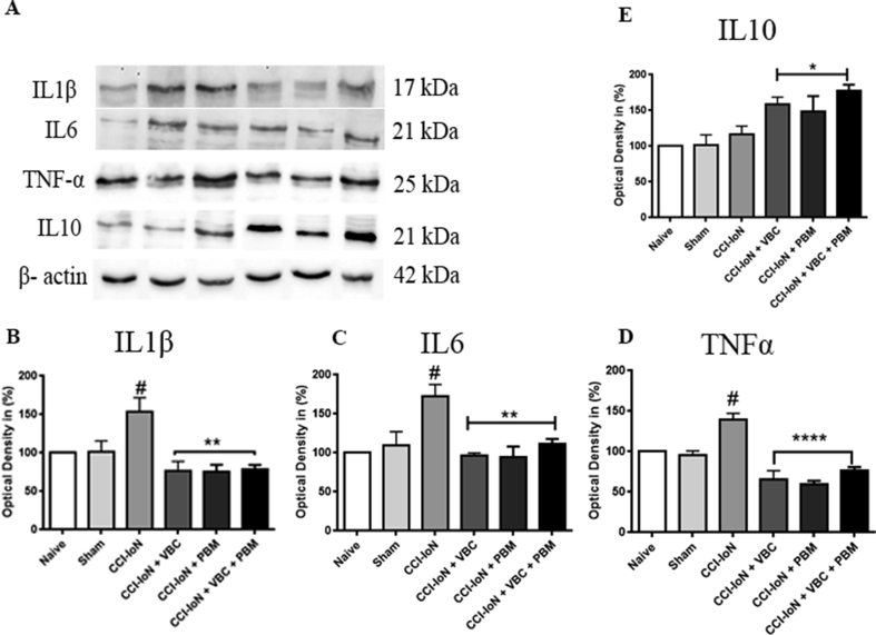 Fig. 4