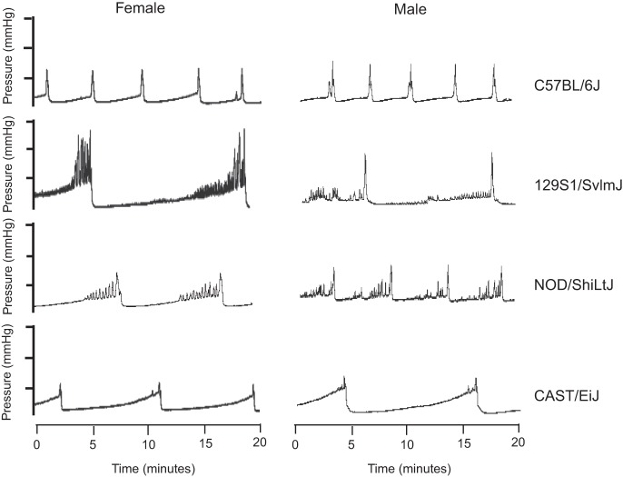 Fig. 3.