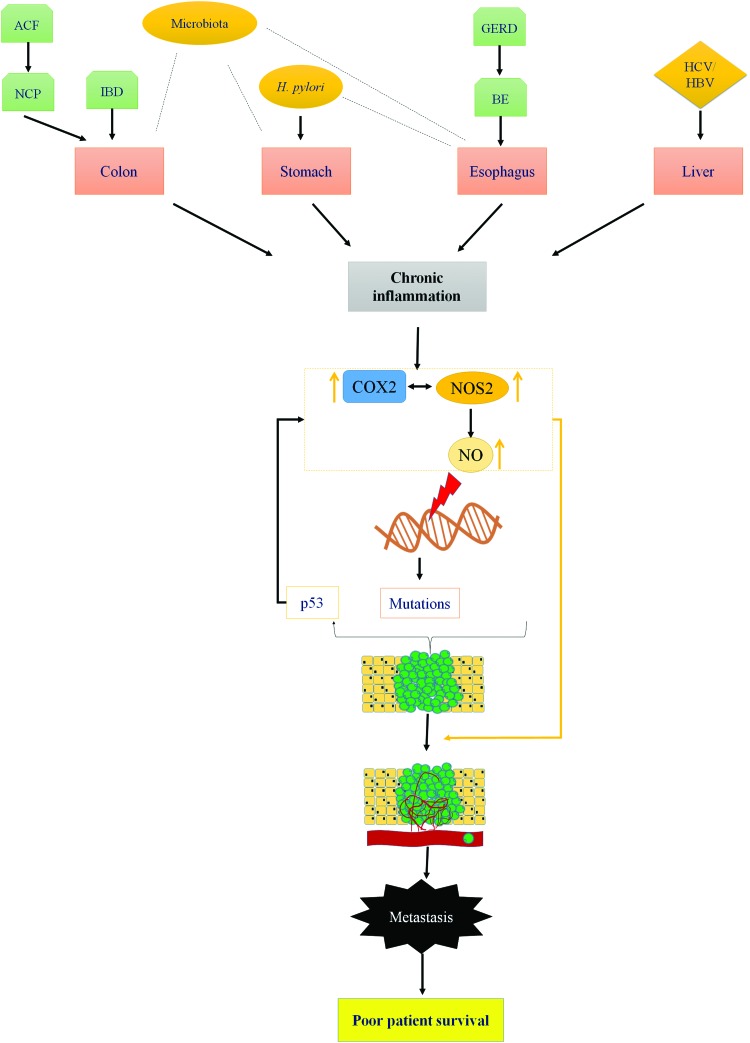 FIG. 6.