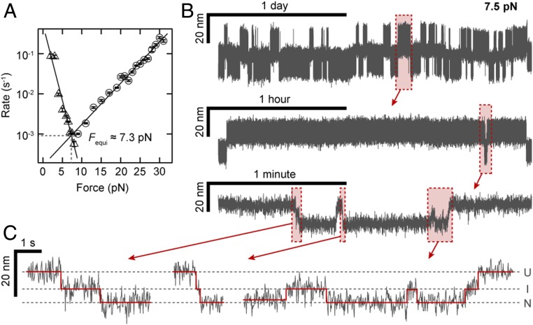 Fig. 3.