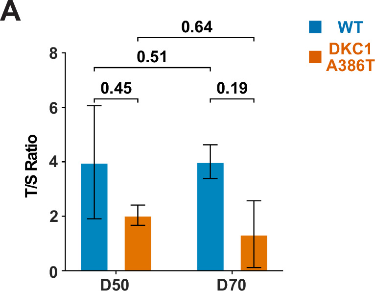 Figure 2—figure supplement 2.