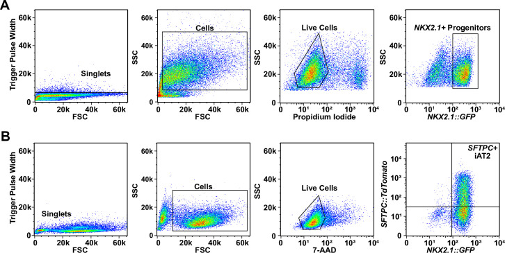 Figure 1—figure supplement 3.