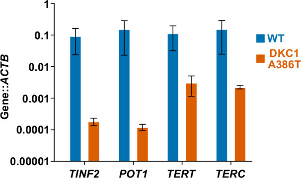 Figure 3—figure supplement 1.