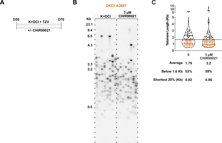 Figure 4—figure supplement 3.