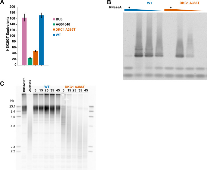 Figure 1—figure supplement 2.