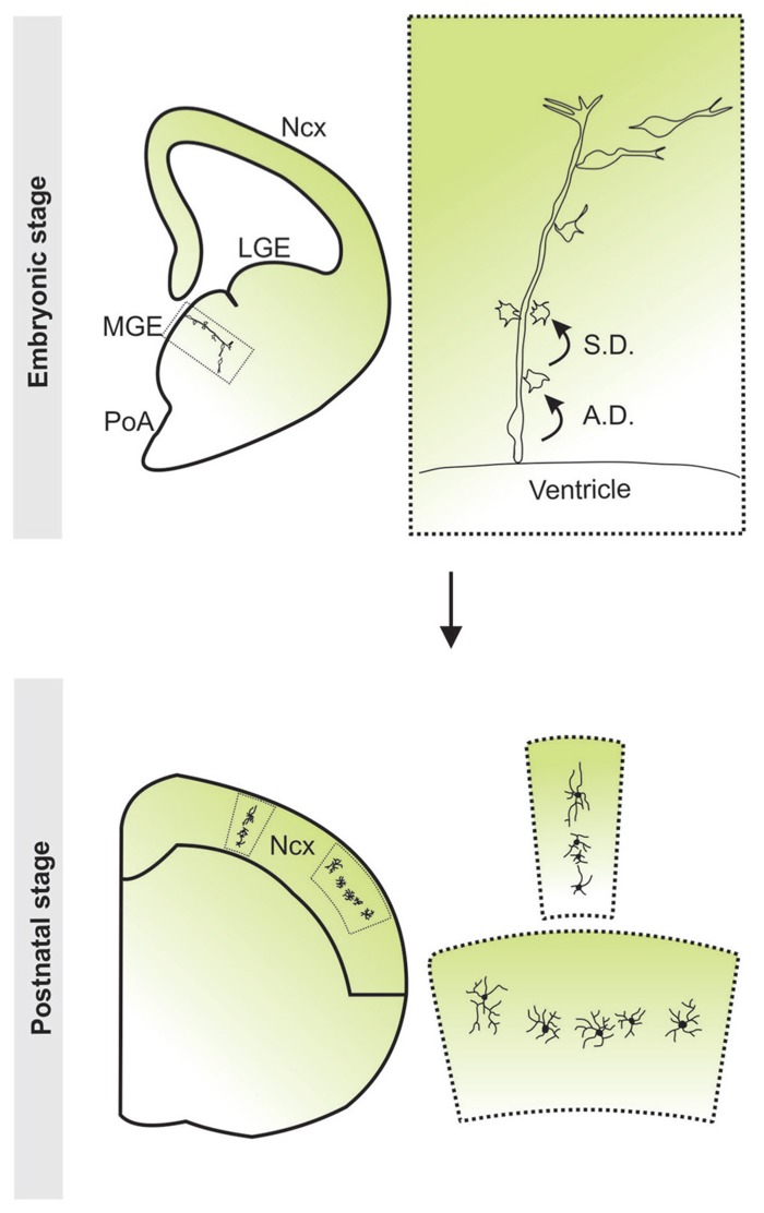 FIGURE 3