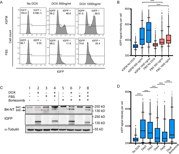 FIGURE 3: