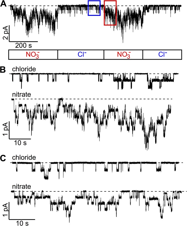 Figure 6.