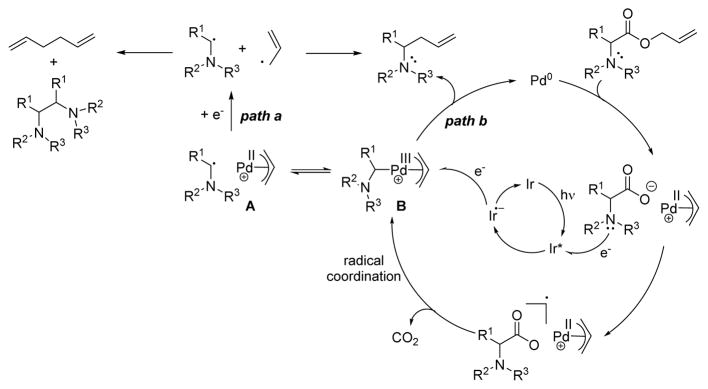 Scheme 5