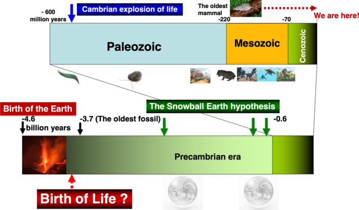 FIGURE 2