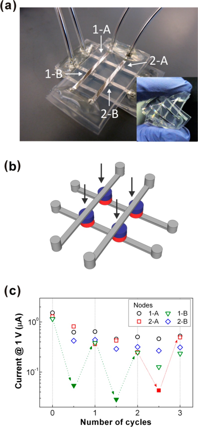 Figure 10