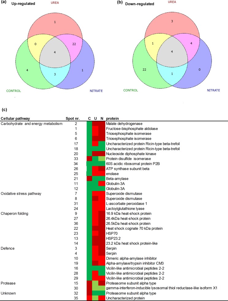 Fig 10