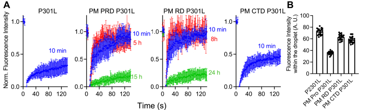 Figure 4