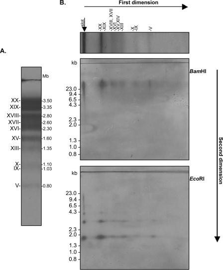 FIG. 6.