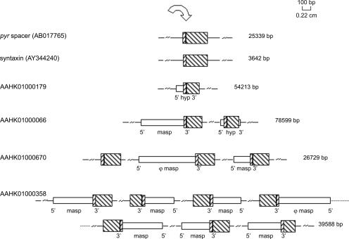 FIG. 4.