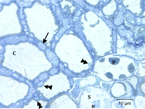 FIG. 5.