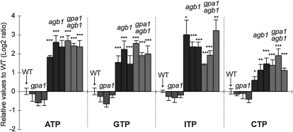 Figure 5.