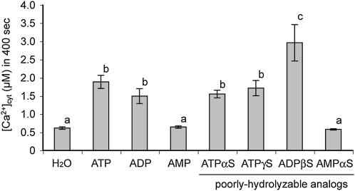 Figure 6.