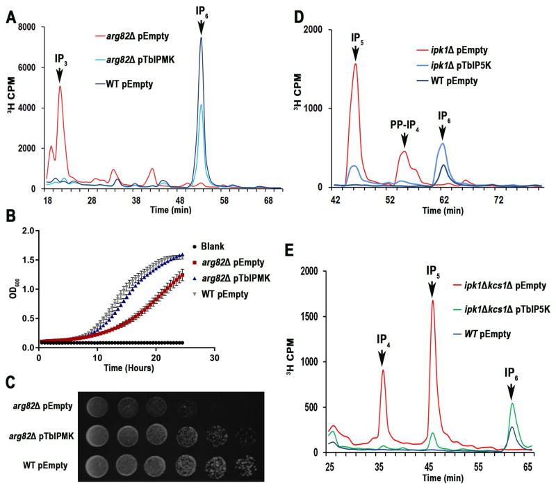 Fig. 3