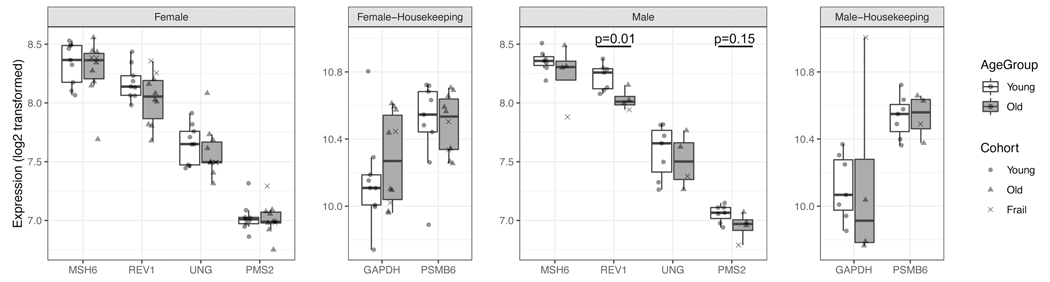 Figure 3: