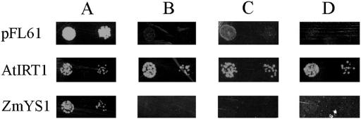 Figure 7.