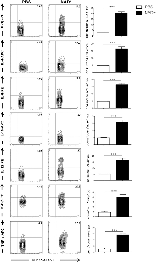 FIG 2.