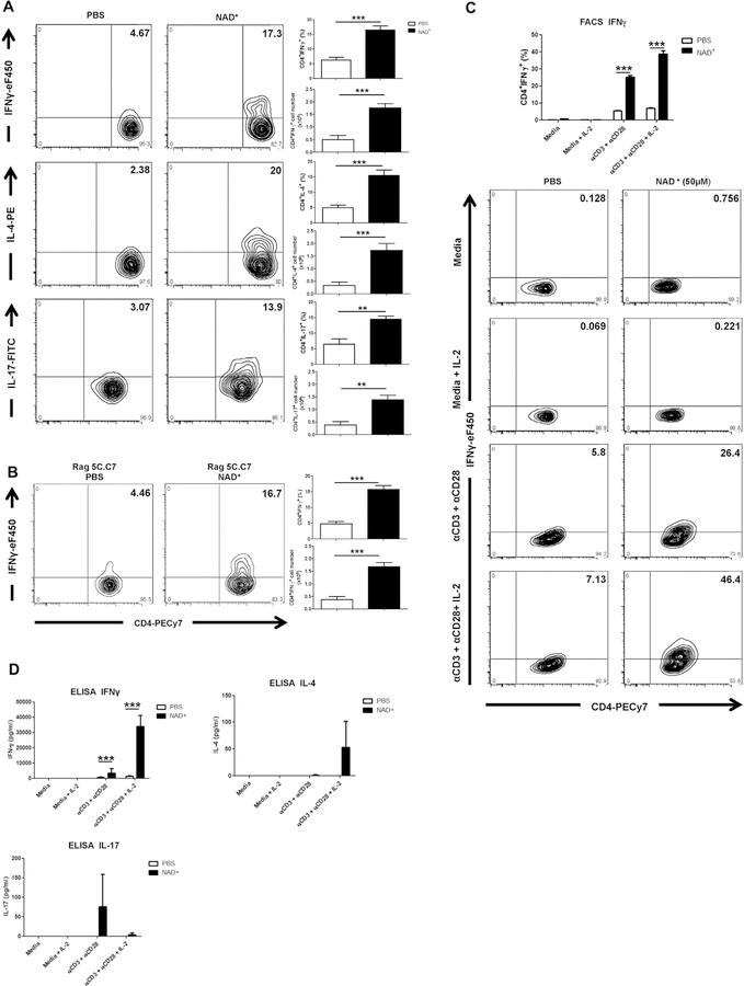 FIG 1.