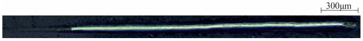 Figure 8