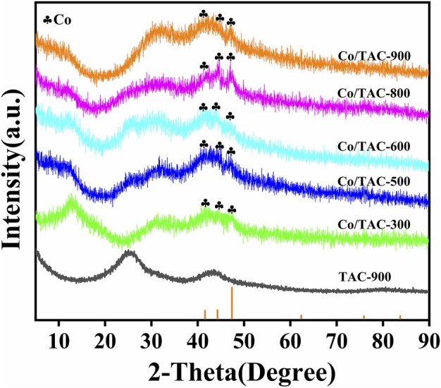 FIGURE 3