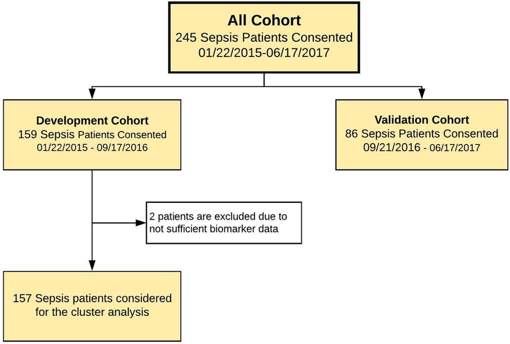 Fig. 1 –