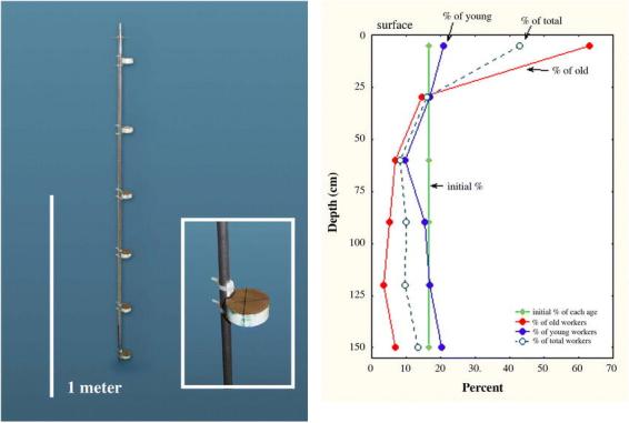 Figure 18.