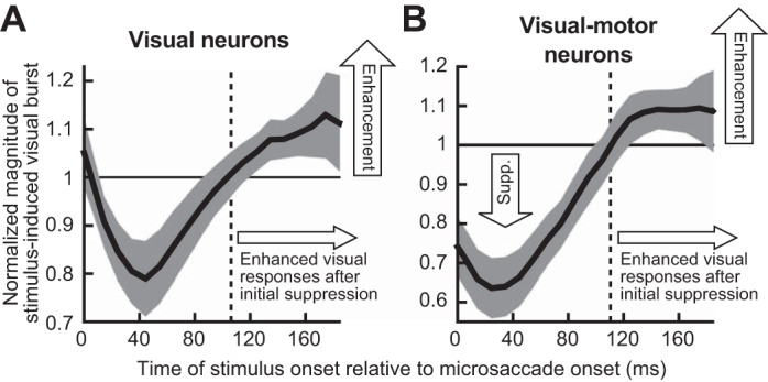 Fig. 10.