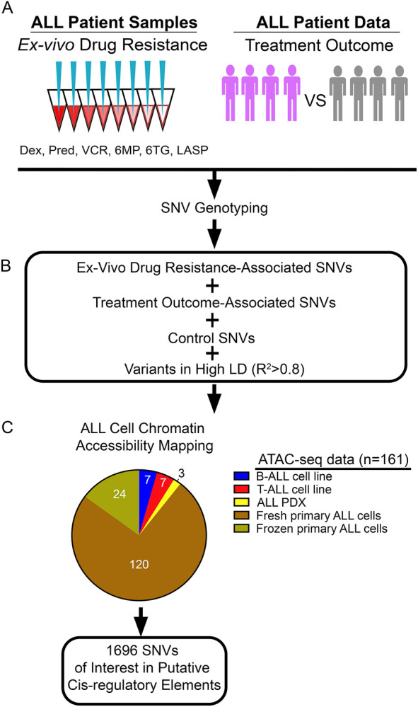 Figure 1: