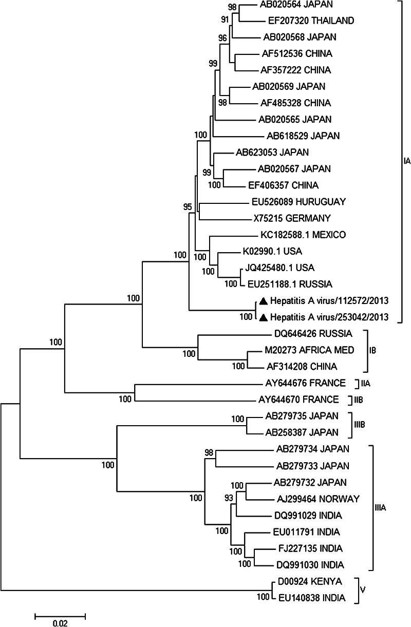 Fig. 1