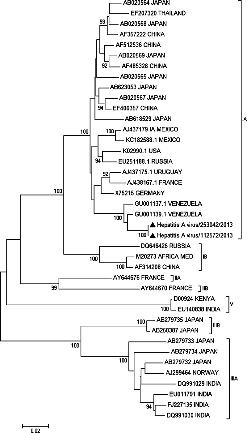 Fig. 2