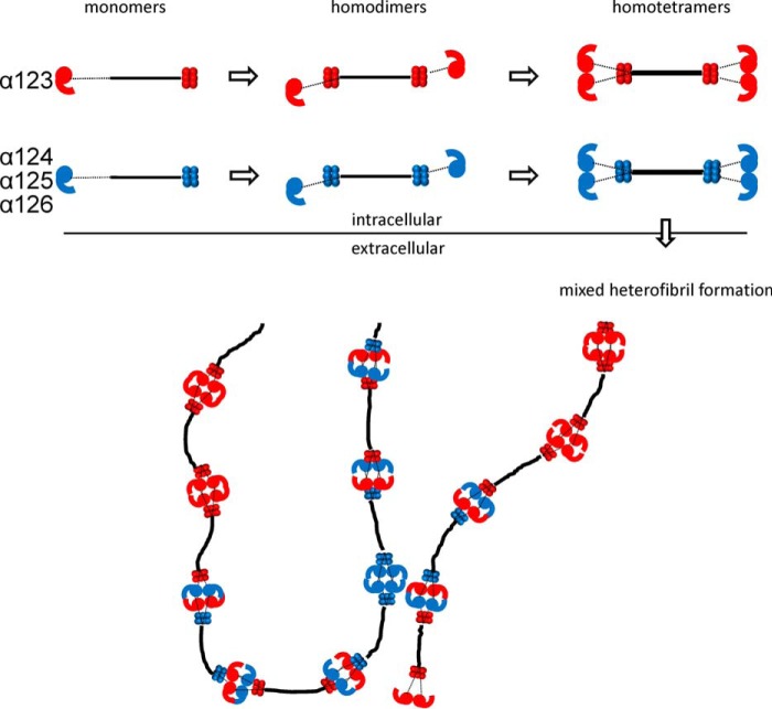 FIGURE 11.