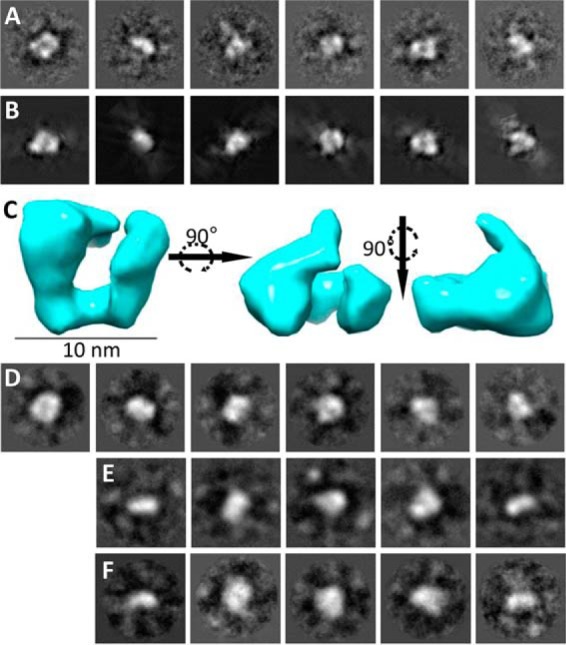 FIGURE 4.