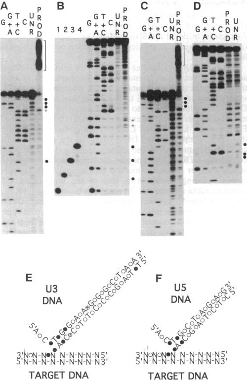 graphic file with name pnas01082-0305-a.jpg