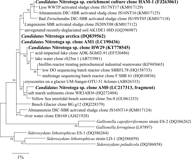 FIG 2