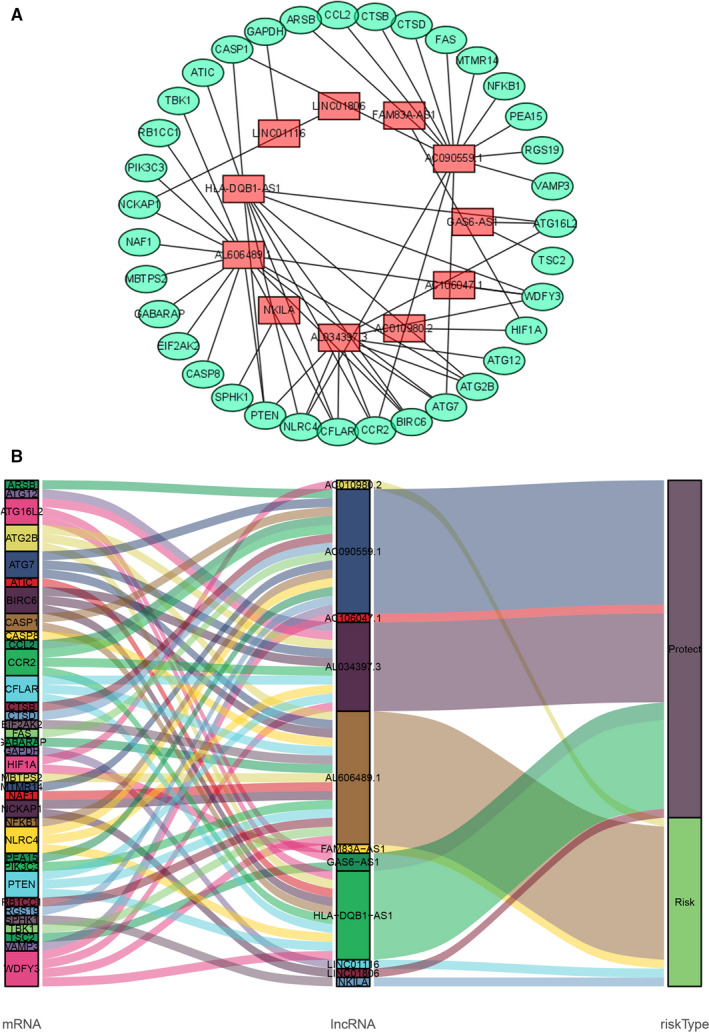 FIGURE 1