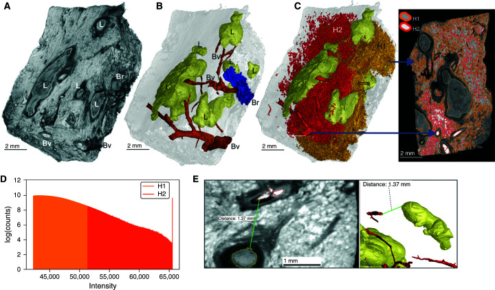 Figure 3.