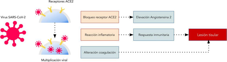 Figura 1