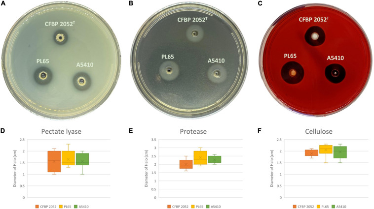 FIGURE 10