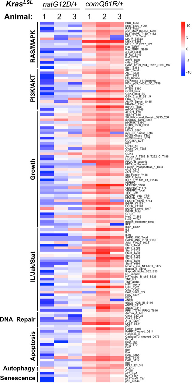 Figure 3—figure supplement 9.