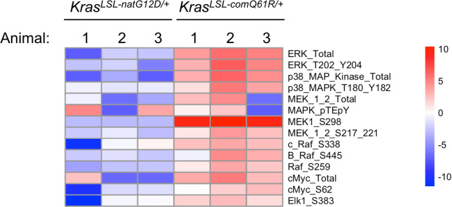 Figure 1—figure supplement 6.